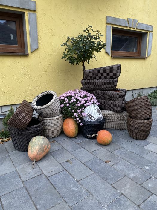 Вироби з ротангу, кашпо, дровниці, вазони