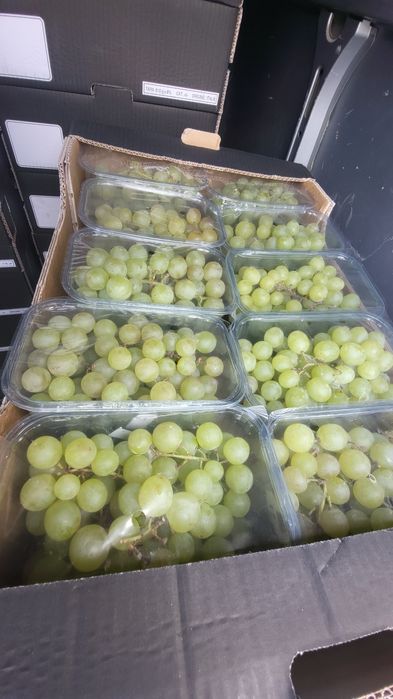 winogrono bezpestkowe tylko 1zł 750 gram