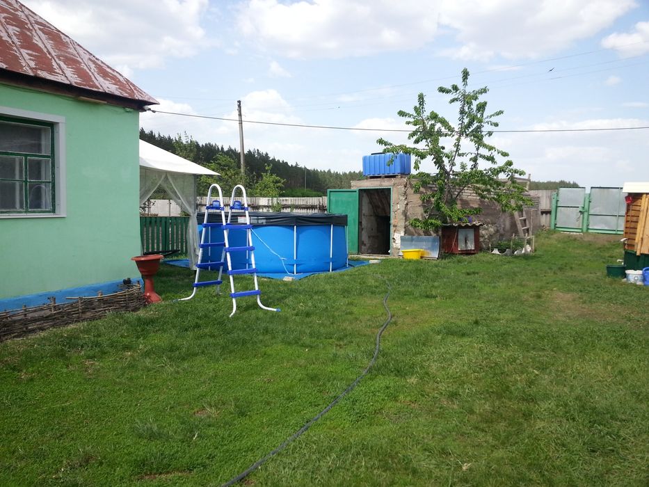 Вассейн Бейвест.