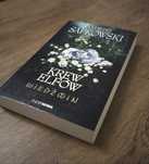 Krew elfów. Wiedźmin. Tom 3. Wydawnictwo SUPERNOWA Andrzej Sapkowski