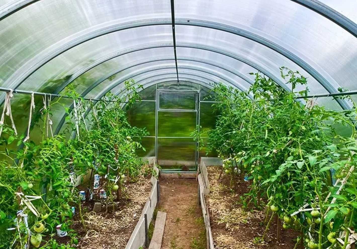 Распродажа! Теплица парник 2х4 3х4 3х6 4х6 4х8 ДОСТАВКА ПО УКРАИНЕ