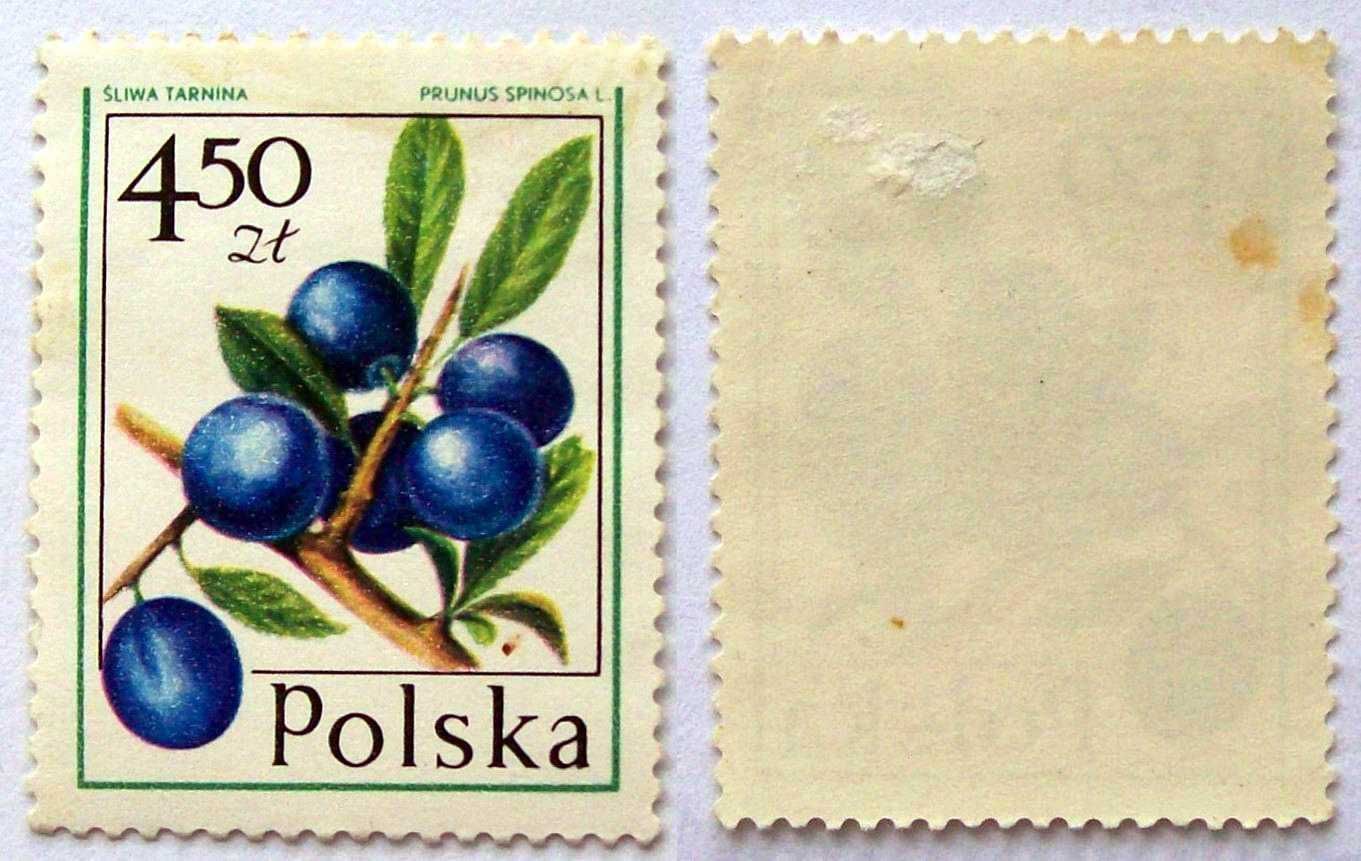 L Znaczki polskie rok 1977 kwartał I