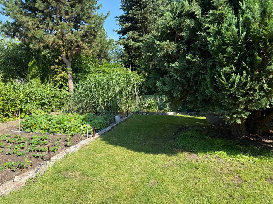 Działka ROD 467 m² pod lasem z domkiem całorocznym! ROD Bugaj