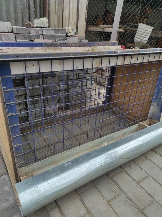 Клітка -Клетка для цеплят, курей.