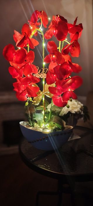 Piękny ogromny storczyk na prezent święta czerwony świecący LED
