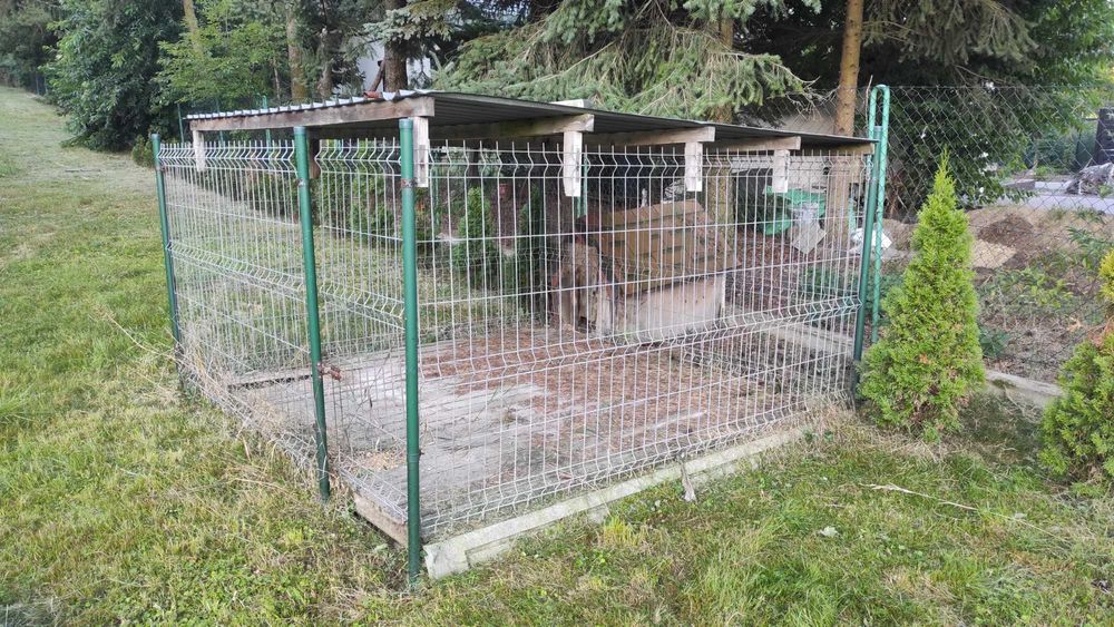 Kojec dla psa, ogrodzenie