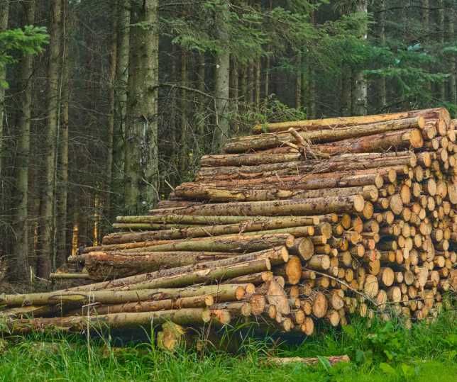Дрова дуб, ясень, граб! Без предоплаты, доставка