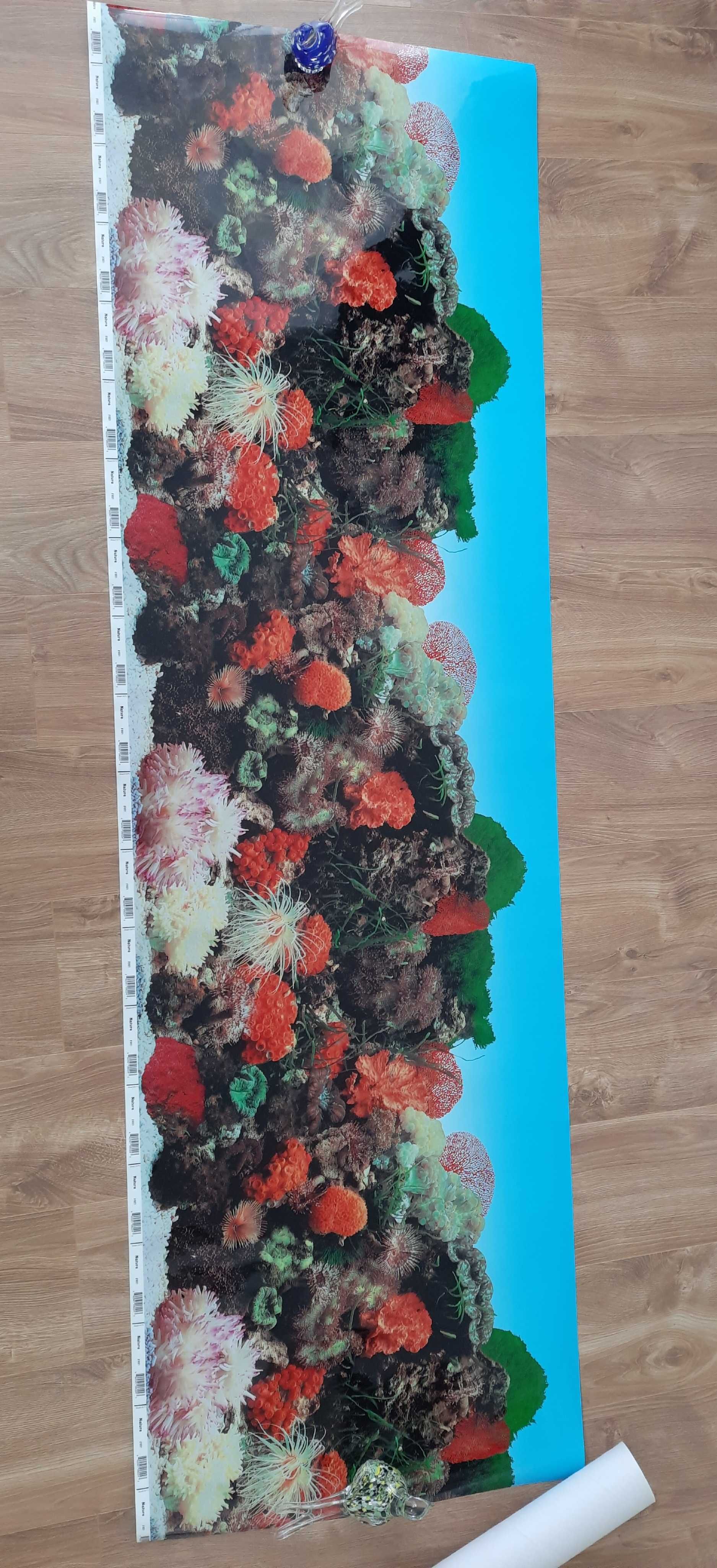 Fototapeta Tło Akwarium Dwustronna 195 cm x 60 cm