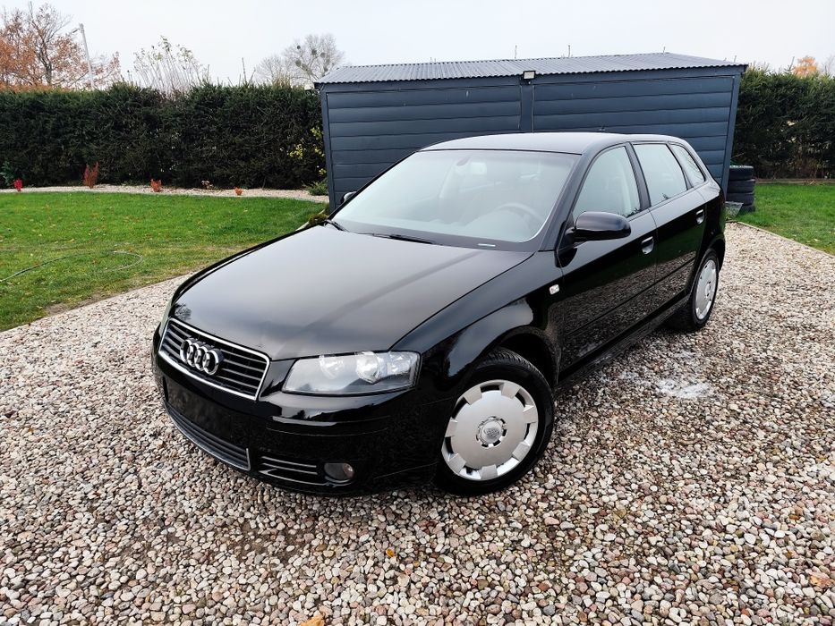 Audi A3 8P 1.6MPi 2007r *Sprowadzony*Bezwypadkowy*Super stan*