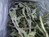Шавлія лікарська сушена органічна  шалфей сухий листя