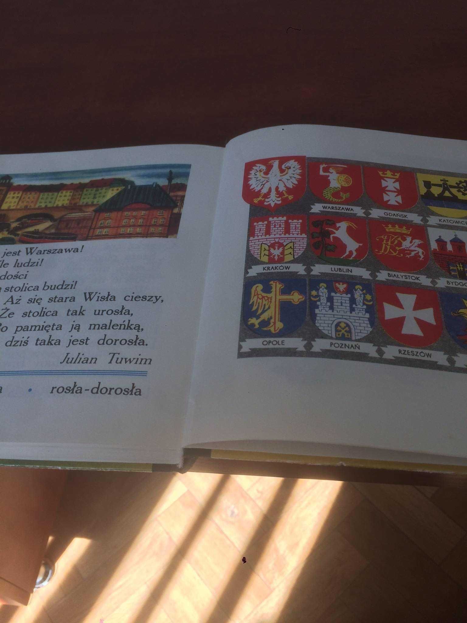 elementarz Falski wyprzedaż zbioru własnego , zielony