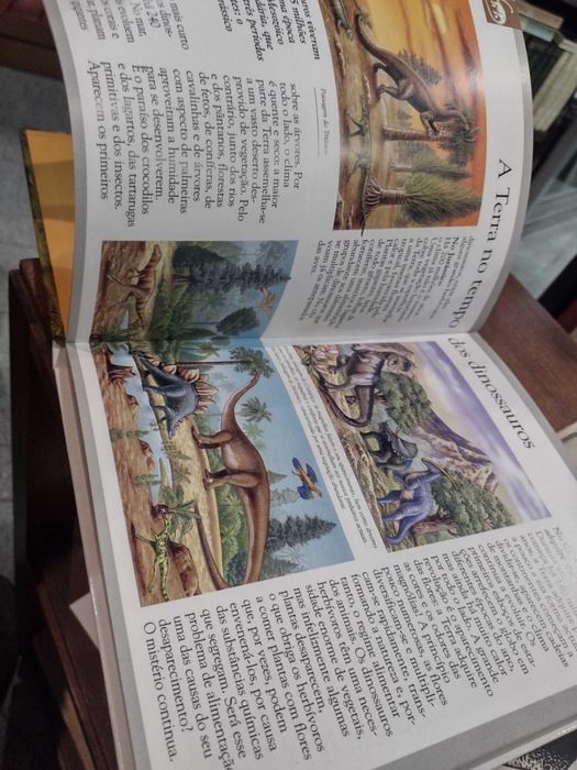 Dinossauros e Animais Desaparecidos - Laure Cambournac