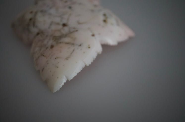 Coral Mediterrâneo  esculpido