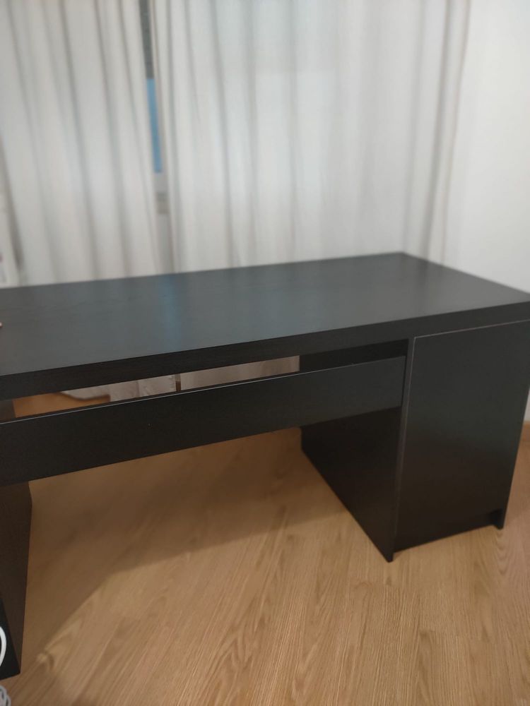 Secretaria MALM castanha