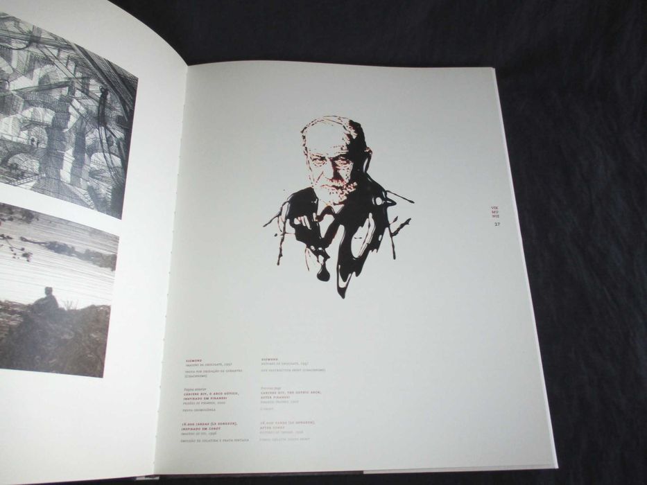 Livro Vik Muniz A Terra e a Gente