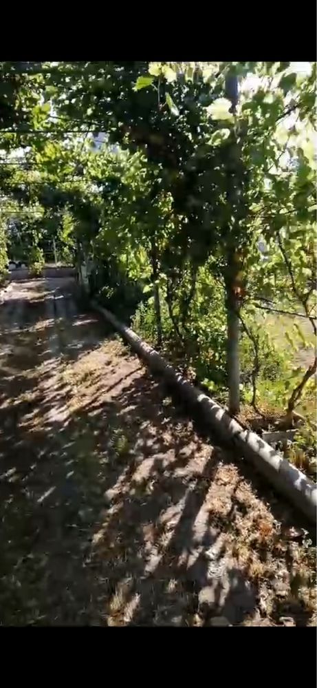 Продам будинок з земельною ділянкою