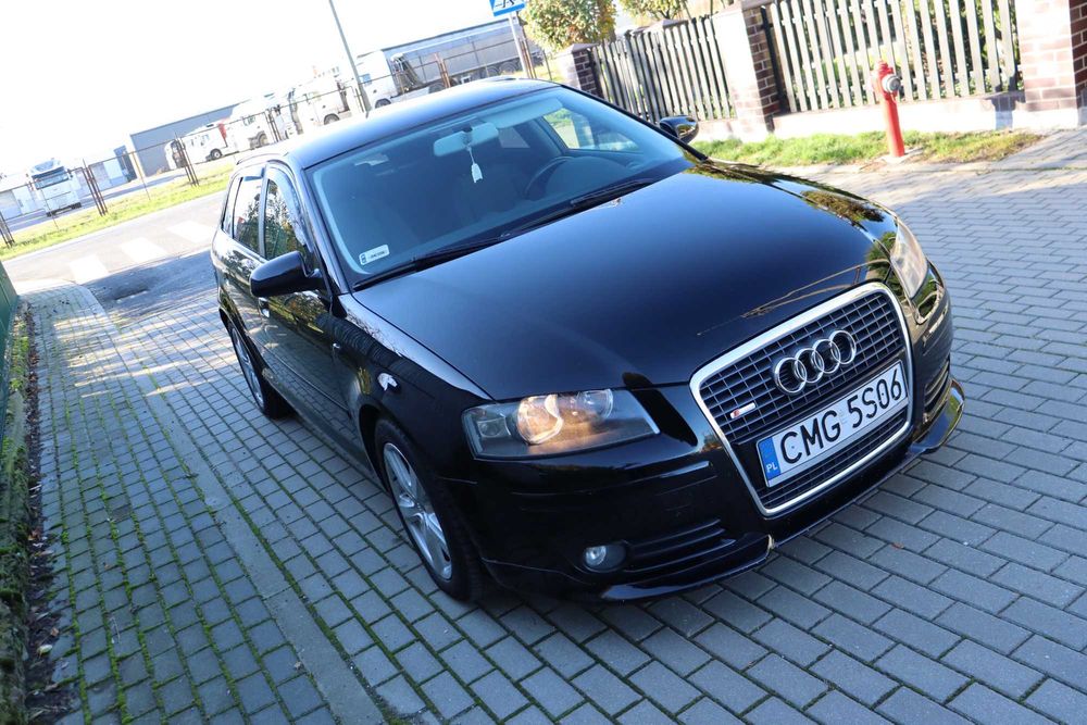 Audi A3 8P 1.9 TDI