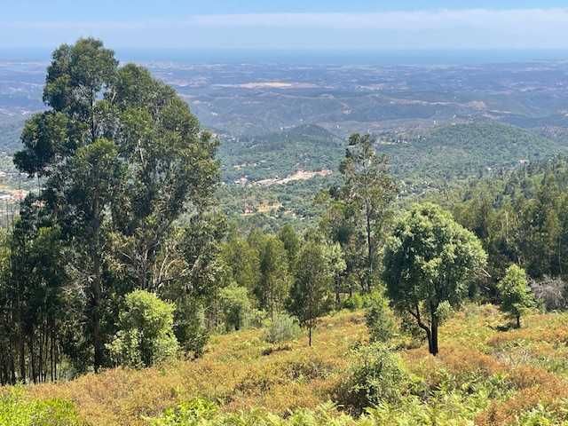 Terreno na Foia, Monchique