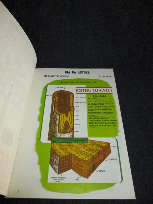 Livro Tecnologia da Madeira Dia da Árvore Dia Florestal Mundial