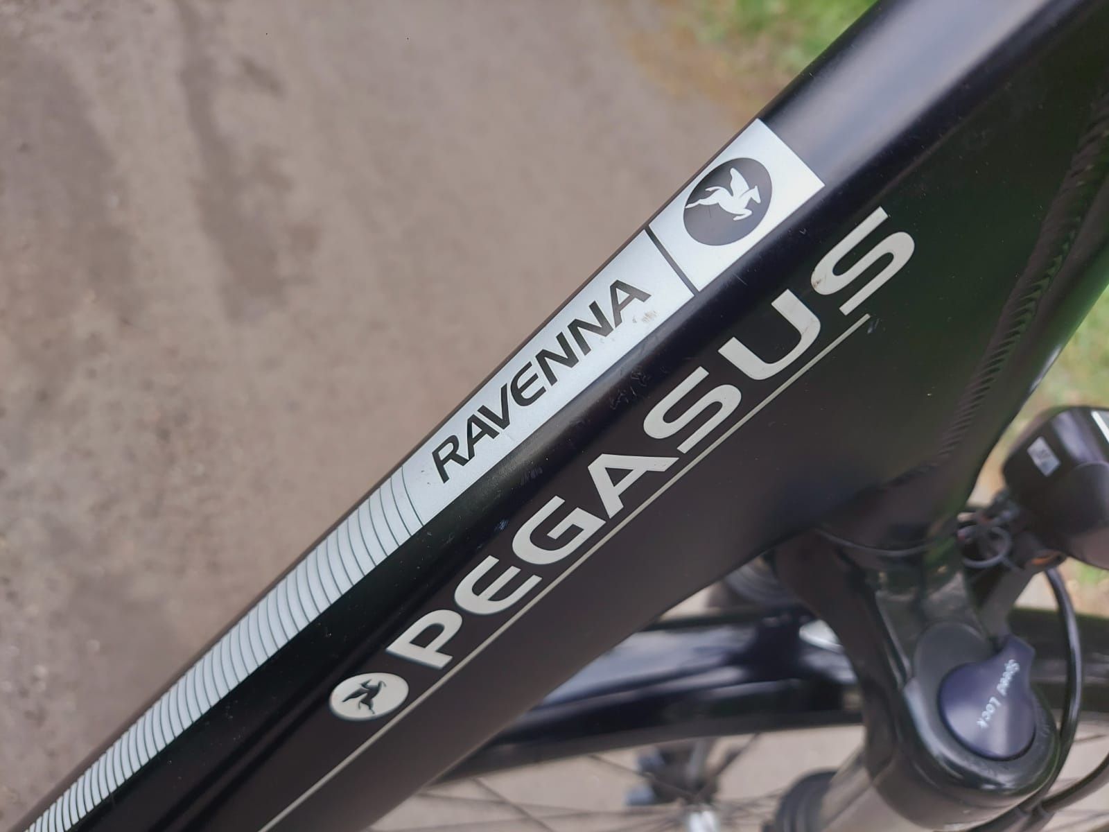 Rower elektryczny Pegasus Ravenna Bosch Activ Line 400Wh Nexus 8