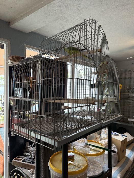 Gaiolas passaros ideal Para criacao