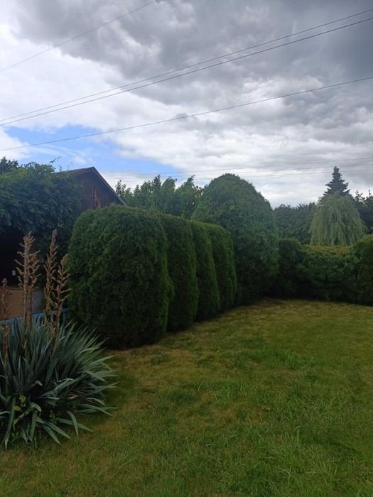 Działka rekreacyjna ROD ,,Wizun"