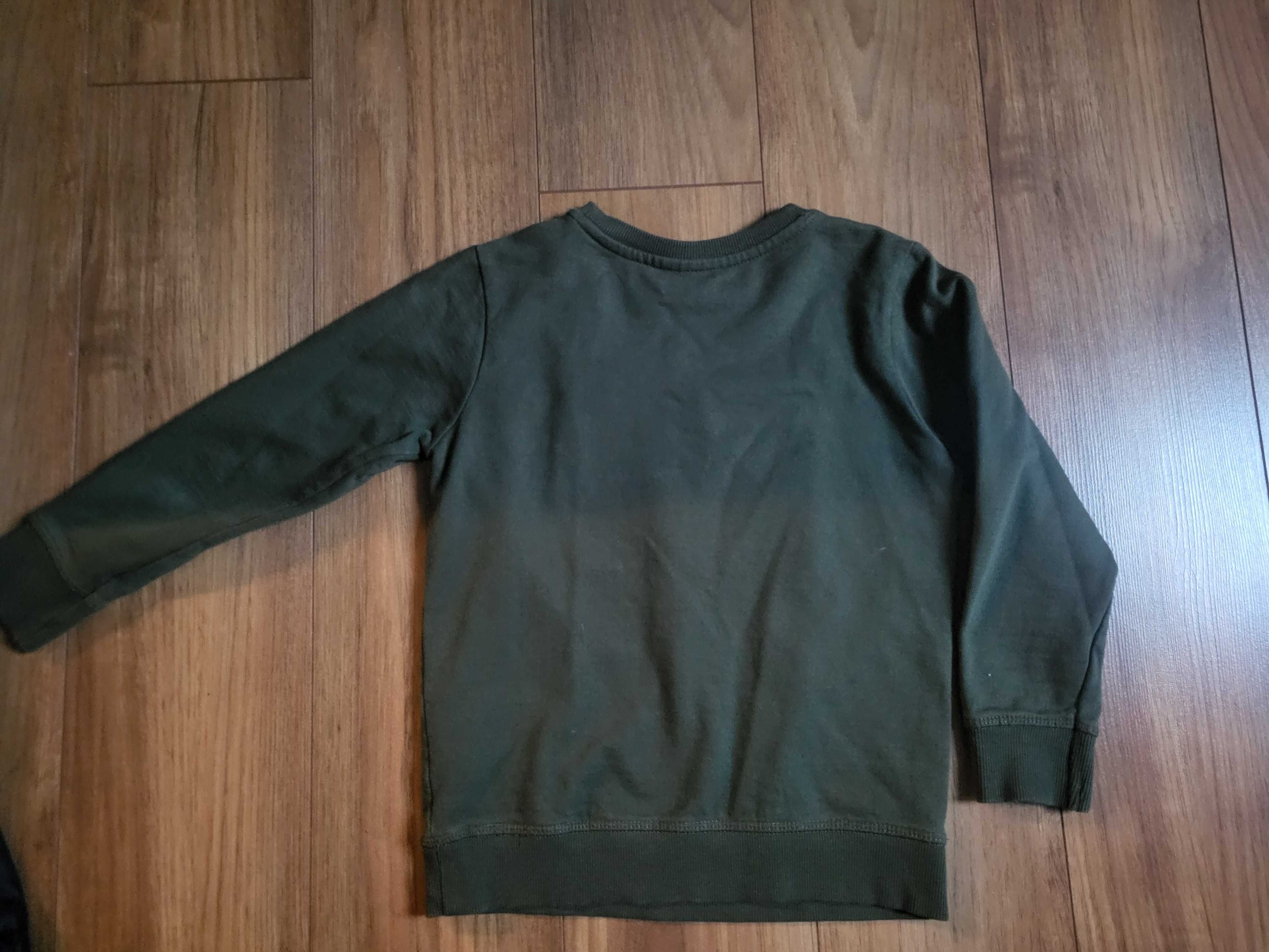 Bluza dla chłopca 116 cm z tygrysem