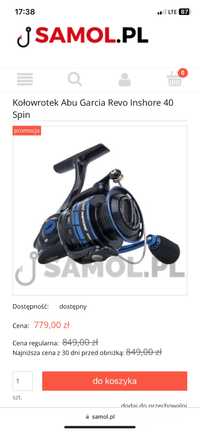 ABU Garcia Revo Inshore INS40