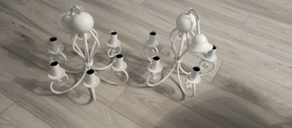 Klosze do sprzedania