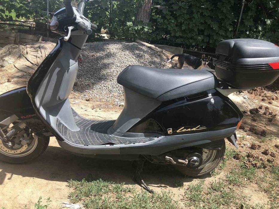 Honda lead 50              ,