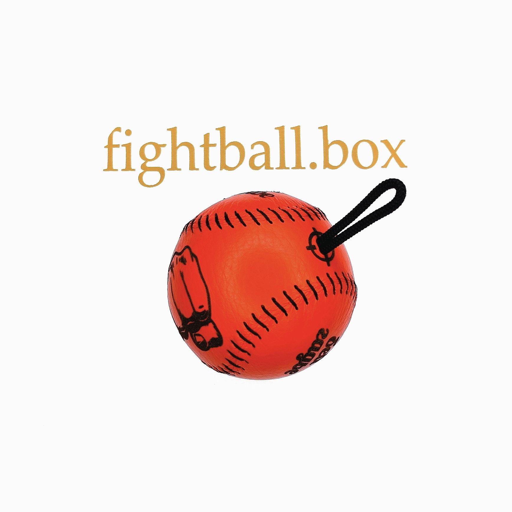 fightball box файт болл тренажёр для бокса мини груша мяч кожа файтбол