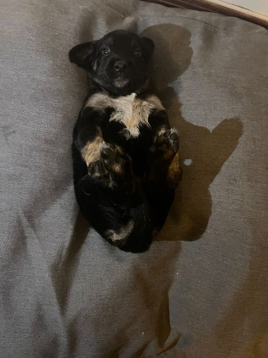 Para doação responsável