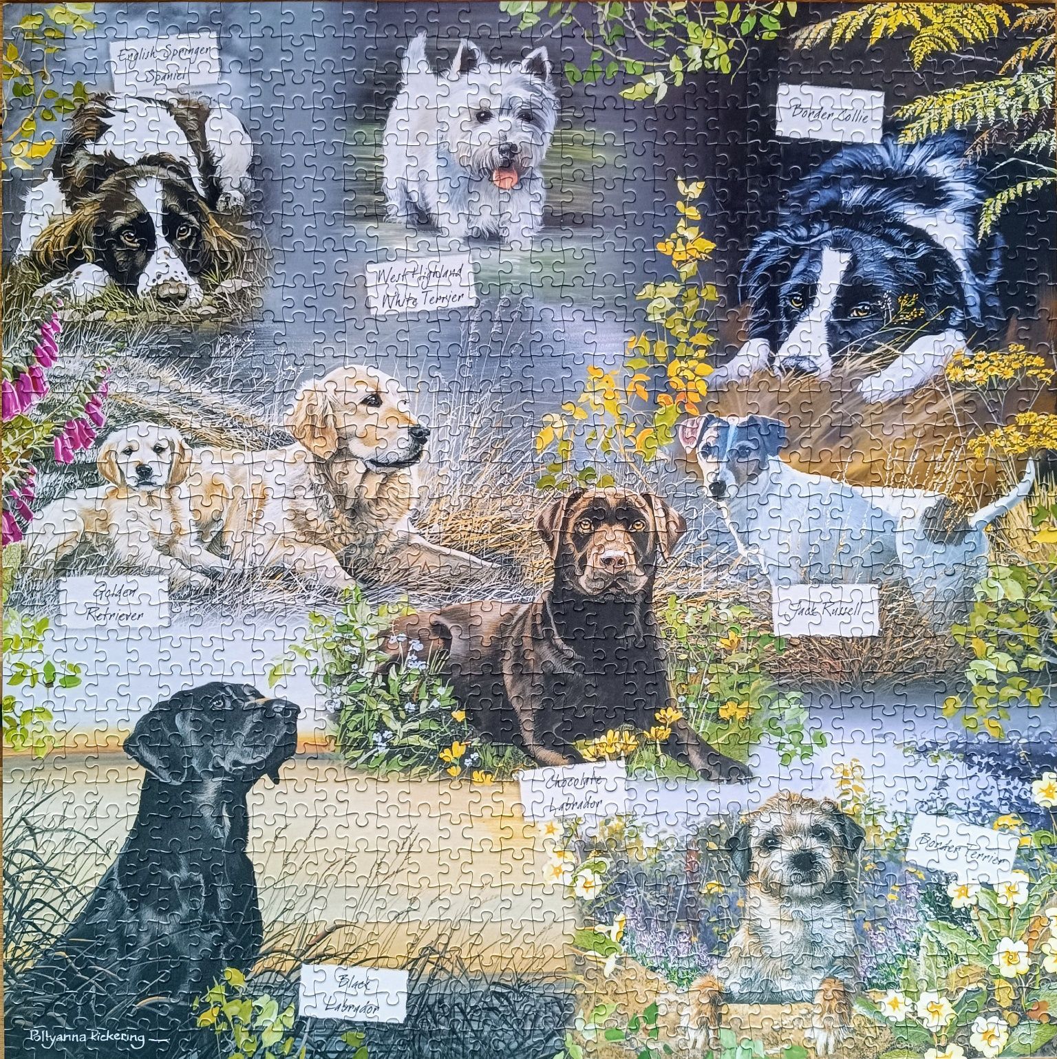 Puzzle 1000 otter house