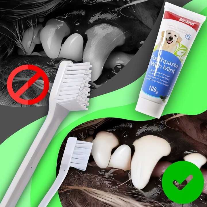 Zestaw Do Mycia Zębów Dla Psa Szczotka Szczoteczka I Pasta 2 Końcówki
