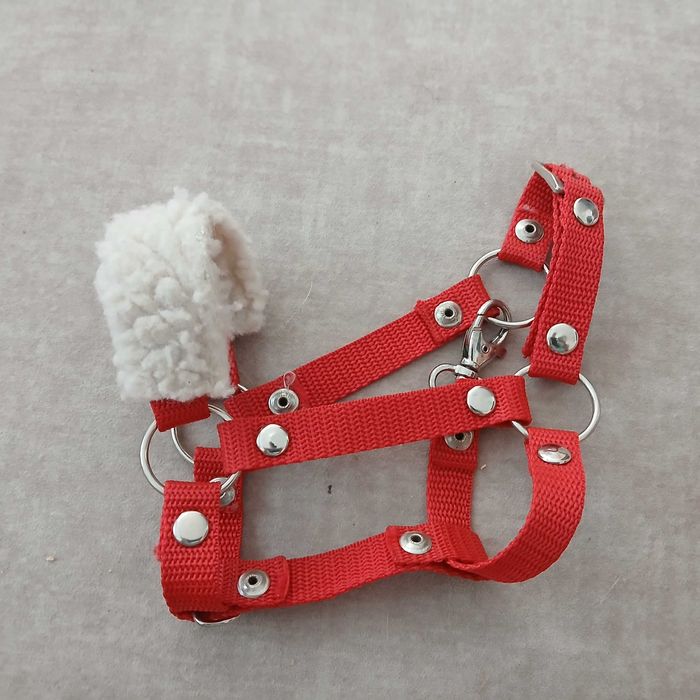Zestaw dla hobby horse