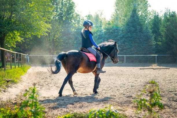 Geowłóknina na padok, lonżownik mata włóknina ujeżdżalnia