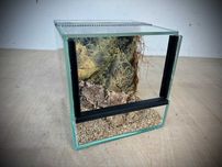 Malutkie terrarium z wystrojem typu gilotyna 15x15x15 cm. AlleTerra
