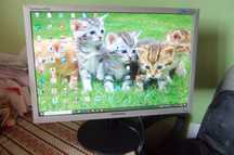 Monitor Samsung 22 cale, DVI,D-SUB(VGA), kabel sieciowy oraz sygnałowy