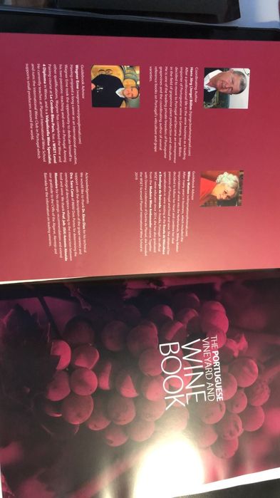 Livro de vinhos em ingles como novo