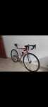 Linda bicicleta trek