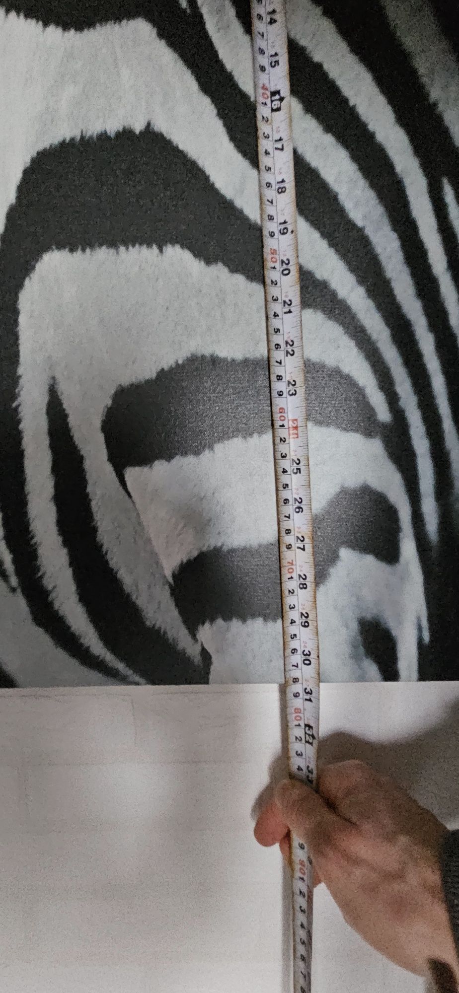Obraz duży zebra