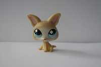 Figurka piesek chihuahua Littlest Pet Shop LPS