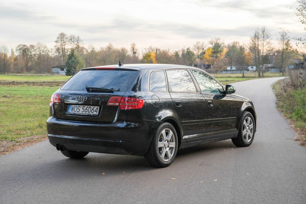 Audi A3 8P 1.9TDI