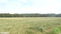 Działka, Osiek nad Wisłą