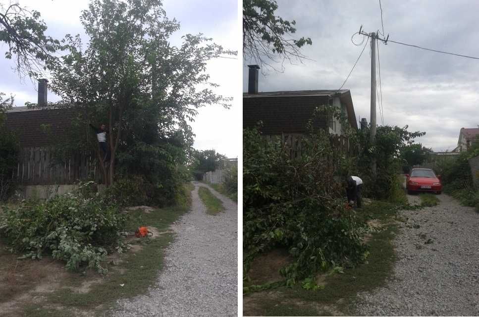 Корчевание пней Утилизация веток Спил деревьев Расчистка дач домов
