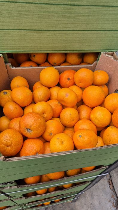 Mandarynki  po  2 zł