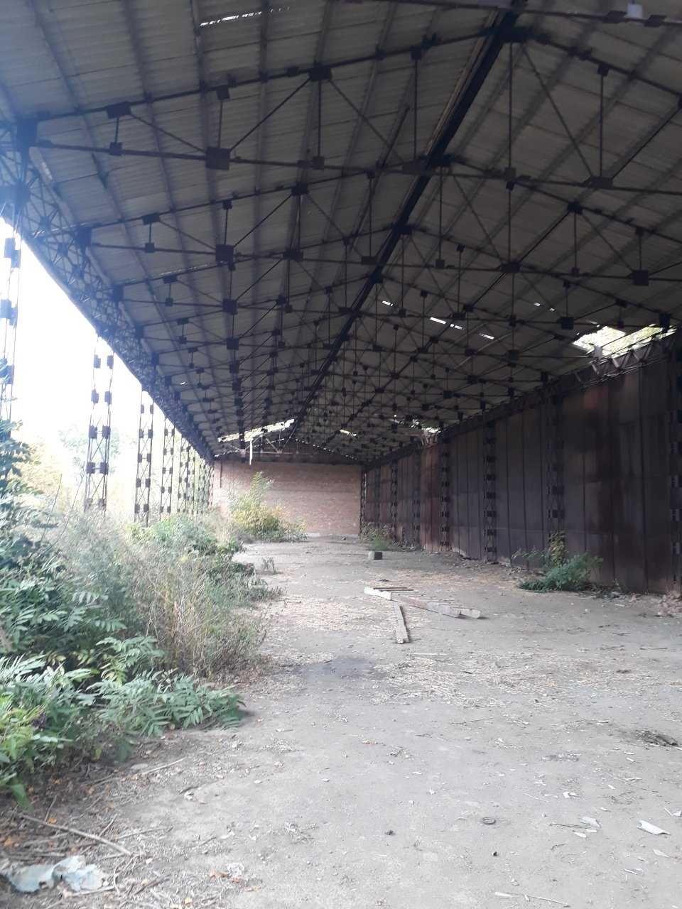 (3) Продам комерційне приміщення в селі Іванівка 9006