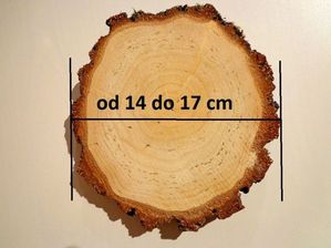 Plastry drewniane krążki drewna brzoza 14-17cm