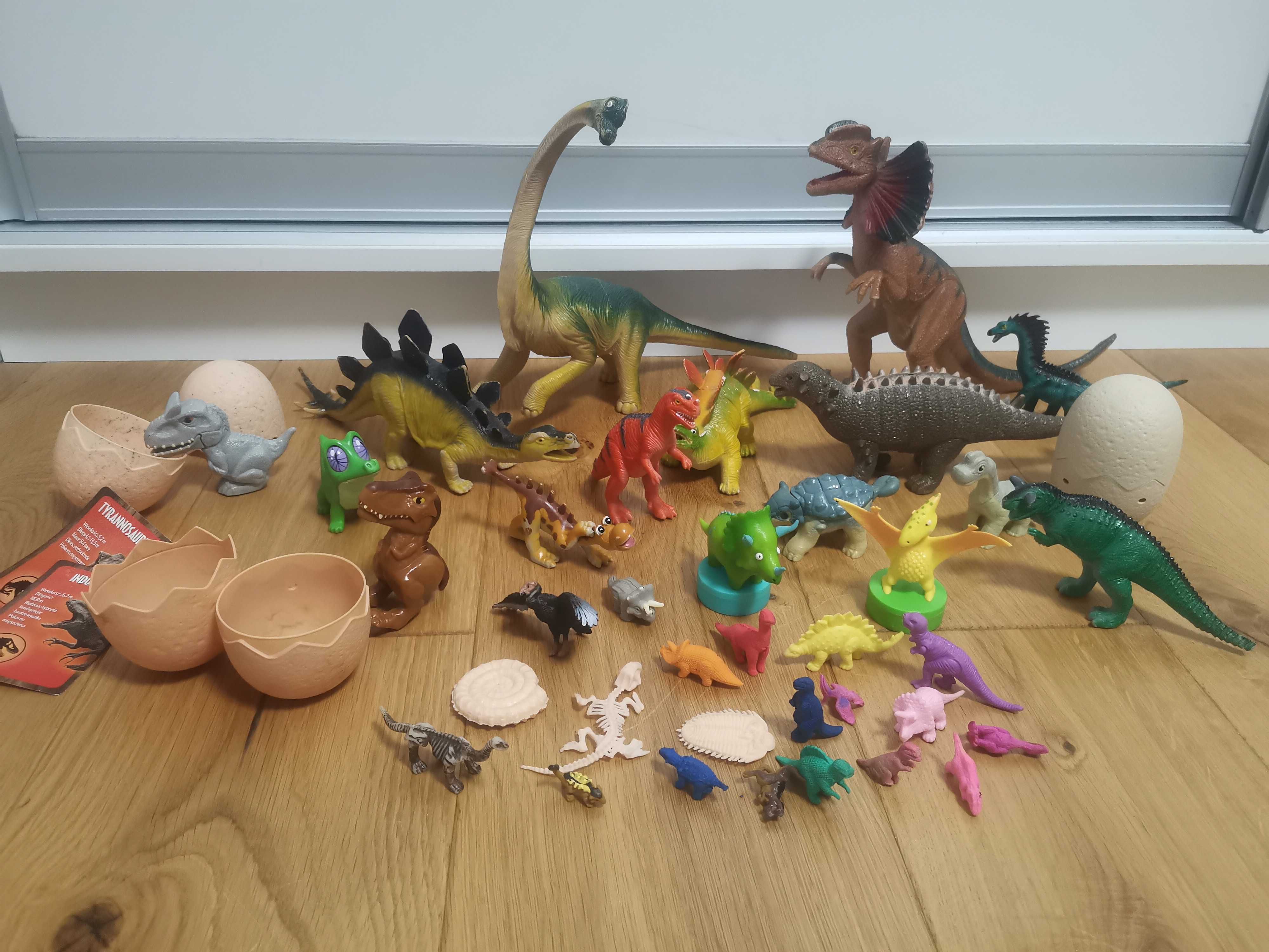 Dinozaury różne rodzaje