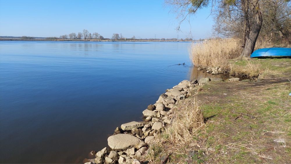 Gryfino Widuchowa dom z widokiem na Odre